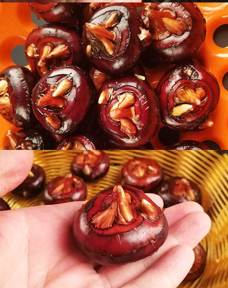 湖北马蹄荸荠新鲜现挖大果地梨小脆马蹄果水果蔬菜整箱批发荸荠3斤