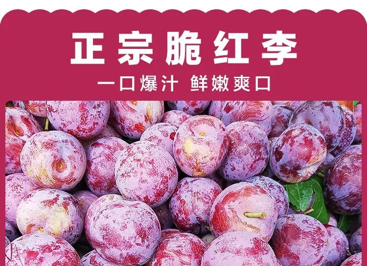 宝兴脆红李四川省宝兴县红脆李李子 3斤 20-25g【图片 价格 品牌 报价