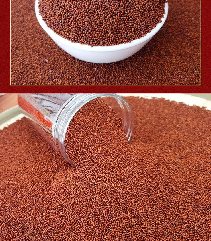 茗老汉 广西特产红粟米 5斤 鸭脚粟龙爪粟拳头粟掺子糙米五谷杂粮代餐