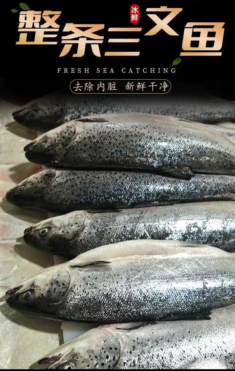 【整条国产三文鱼】新鲜一条鱼4斤-6斤的开片拔刺 400克中段 一条4斤