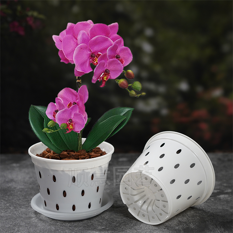 新款蝴蝶兰专用花盆透明白塑料带侧孔树脂育苗杯石斛绿植透气养根