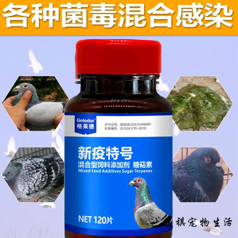 格莱德鸽药救命特好赛鸽病毒毛滴虫呼吸道新城疫腺病毒信鸽鸽子药 一