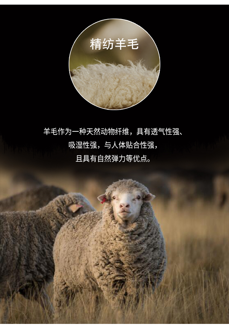 ab873f887862e864.jpg
