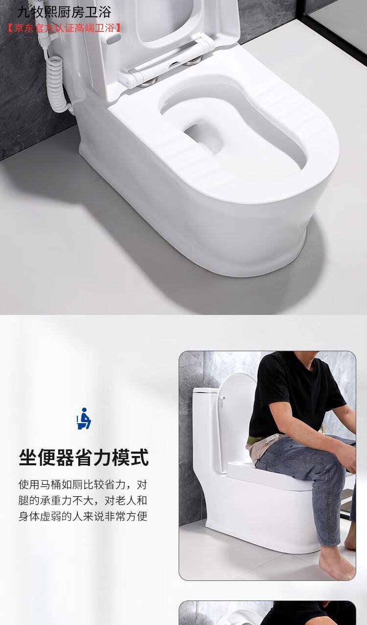 新款蹲坐两用马桶一体式可蹲可坐座便器双用蹲便器蹬坐厕二合一a款