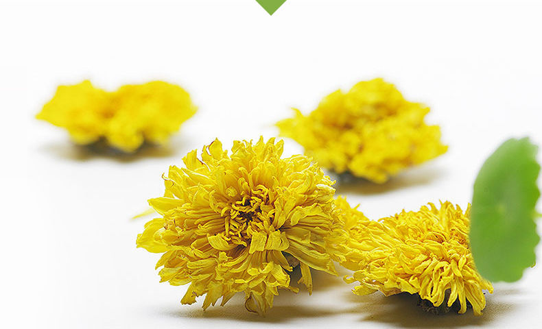 婺源皇菊江西婺源皇菊晓起黄菊菊花贡菊大朵菊花茶一朵一杯金丝皇菊