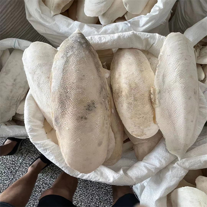 人工精选海螵蛸500g克无熏中药材乌贼骨墨鱼骨盖可磨海螵蛸粉【图片