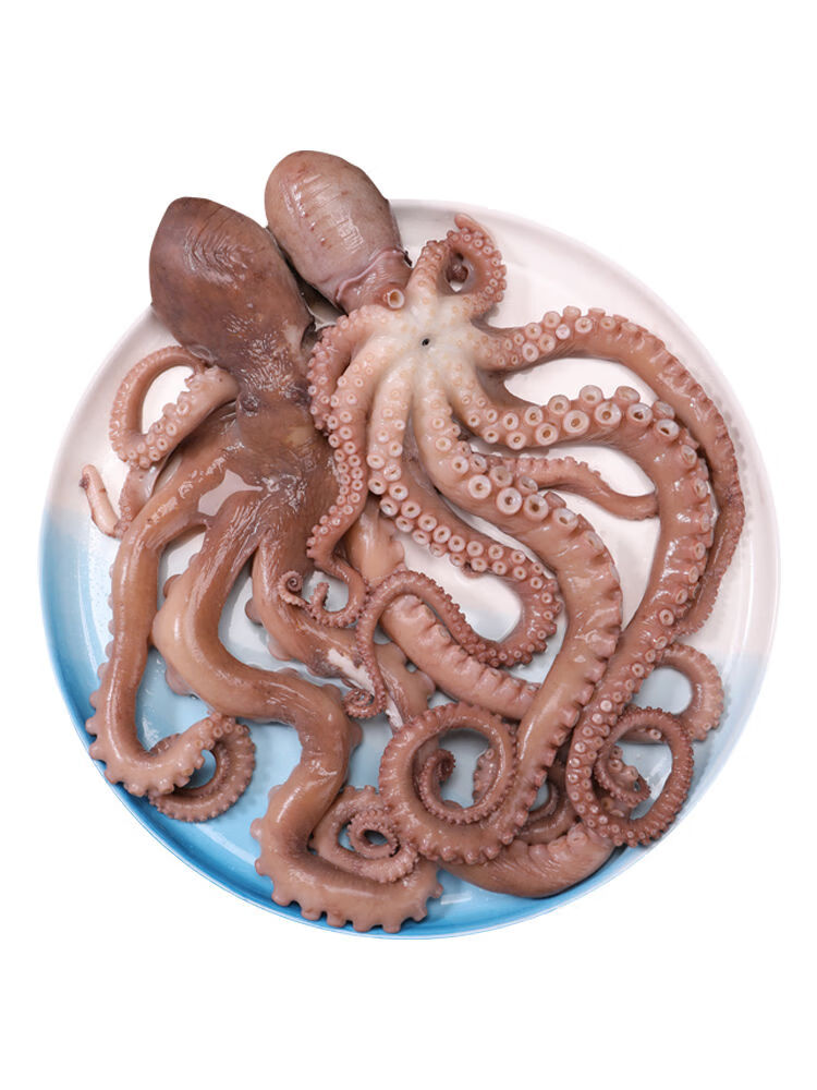 八爪鱼海鲜鲜活水产冷冻小章鱼迷你八抓鱼章鱼足长腿大爆头6斤装