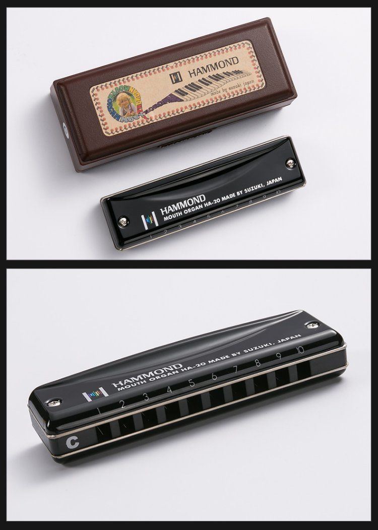 suzukimusique铃木口琴suzuki日本进口铃木ha20初学10孔蓝调口琴演奏