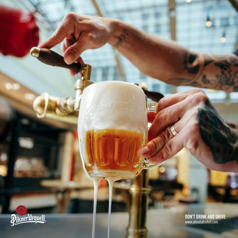 云舵 博世纳啤酒 500ml*6罐 捷克 博世纳 pilsnerurquell 皮尔森精酿