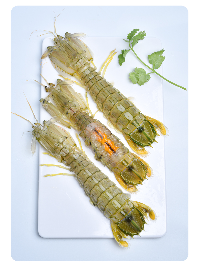 铭心顺丰冷链泰国鲜活冷冻濑尿虾超特大皮皮虾海鲜水产巨型富贵虾菇