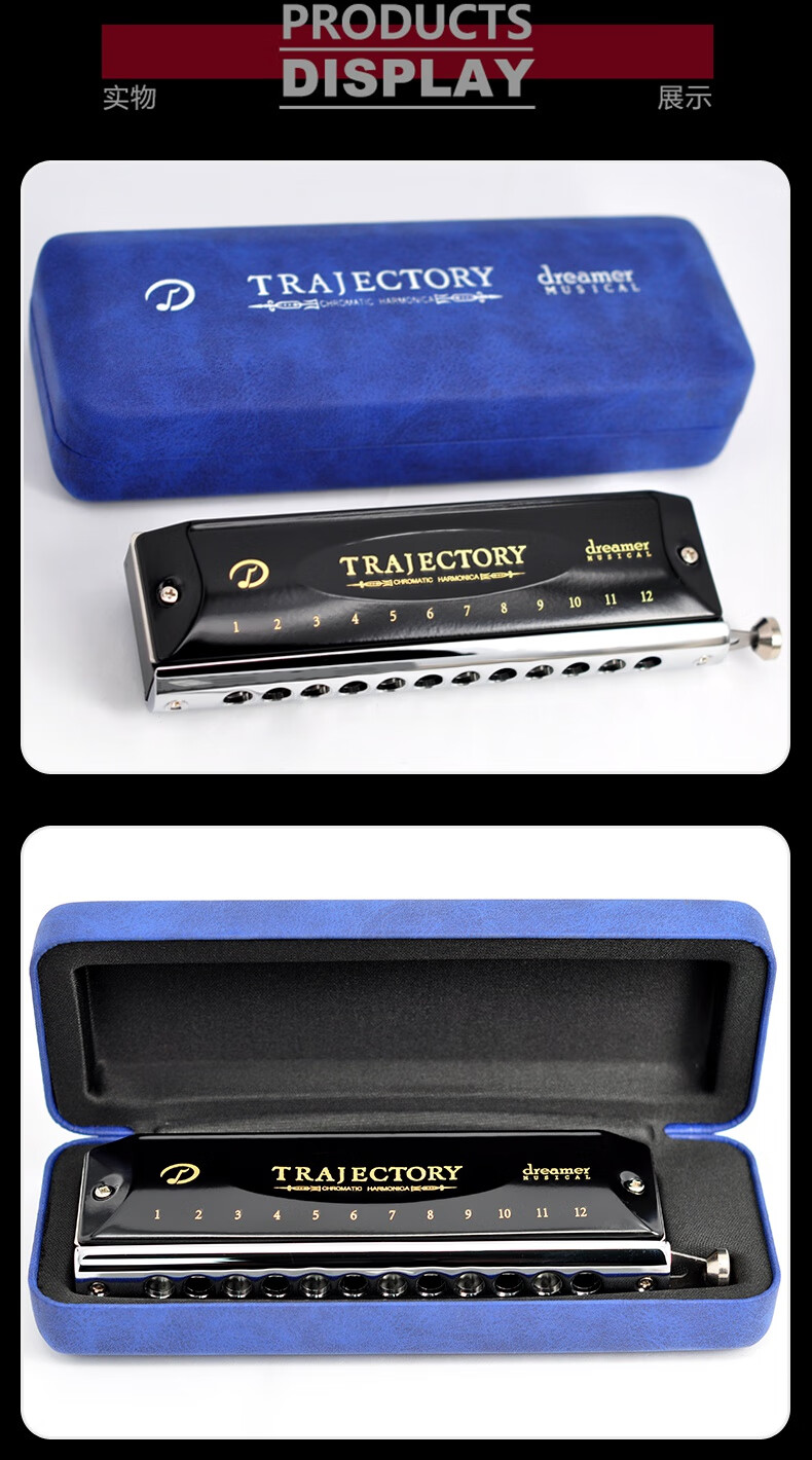 孔追梦人半音阶口琴演奏成人练习初学新手口琴抖音新款12孔c调追梦人