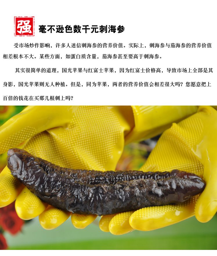 茄参海茄子参500g8成干去皮去泥淡干海参酒店海参干货年货参