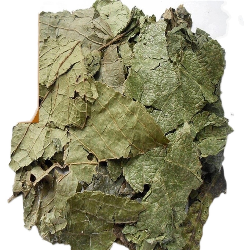 北京同仁堂杜仲叶 杜仲 满1件 杜仲叶 中药材 500克 杜仲树叶【图片