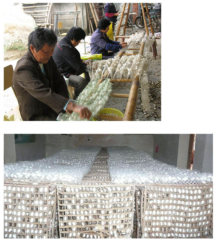 养蚕结茧网塑料网簇方格簇保用十年1片够6-900条蚕结茧蚕宝宝养殖