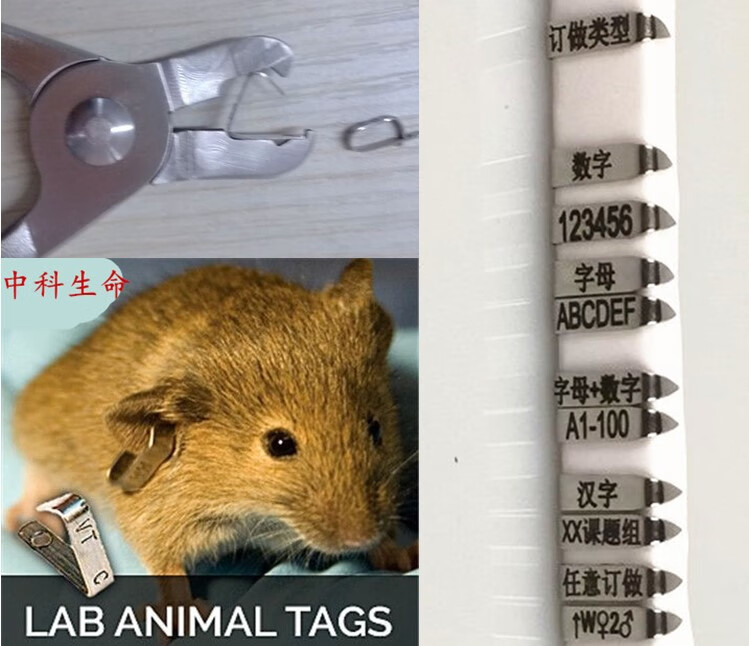 小鼠耳标号大鼠耳标夹耳号器耳钉钳标记编号大小老鼠耳标签(订做) 100