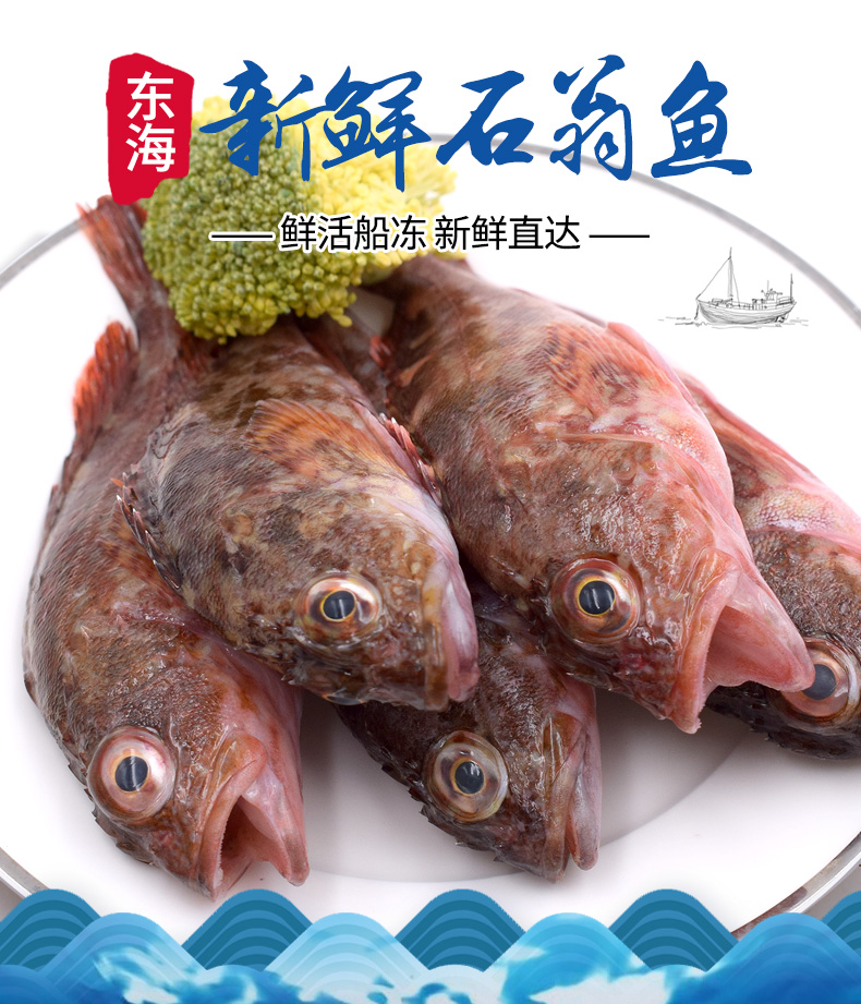 亚又婧舟山新鲜小虎头鱼1斤石翁鱼石斑鱼狗公鱼虎头斑