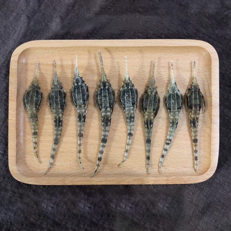 本港干货10只共15克公母一对泡酒料药材中煲汤可搭配海马海龙泡酒 10