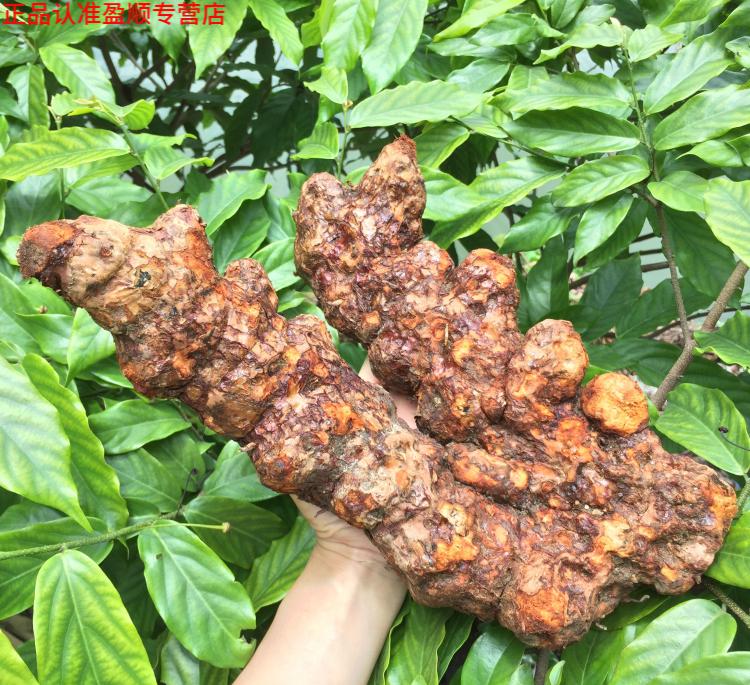 北京同仁原材料 无硫老土茯苓干片茶硬饭头煲汤泡酒配五指毛桃根牛