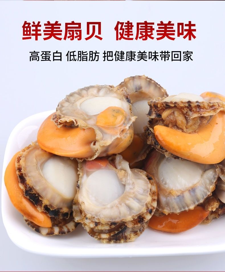 扇贝鲜活新鲜港湾贝栉孔扇贝带壳活扇贝刺贝新鲜扇贝海捕贝类5斤