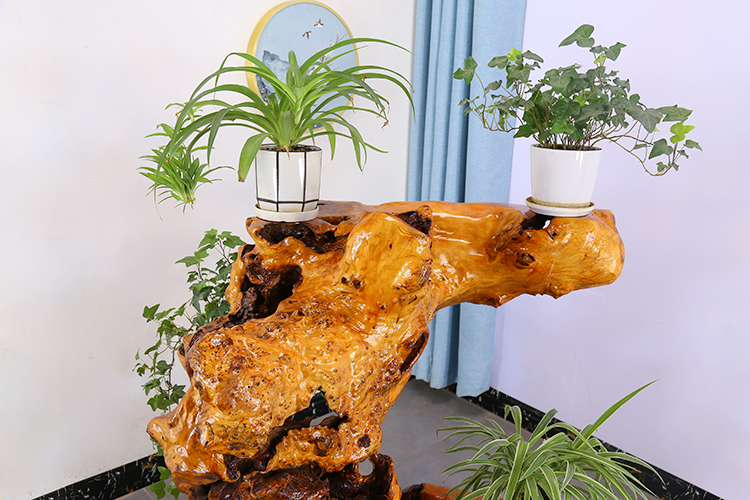 犀艺根雕树根天然实木阳台多层花架室内原木客厅根艺花盆架hl6984