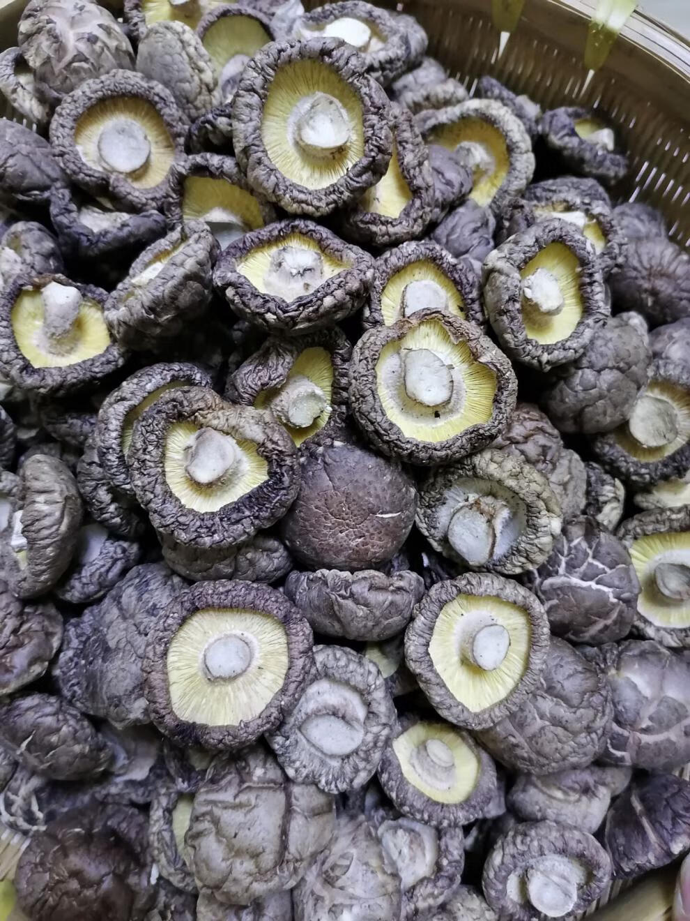 西峡特产干香菇新货2500g餐饮黄焖鸡食堂专用香菇无根蘑菇散装