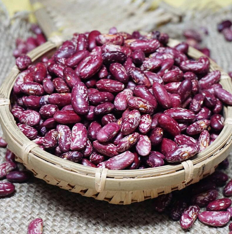 橙伯乐 云南花金豆四季豆红豆酸菜汤紫花芸豆米五谷杂粮腰子豆煮粥