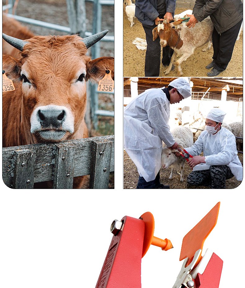 猪牛羊耳标钳铝合金耳号钳耳标牌垂直打耳标钳子绿色合金耳标钳