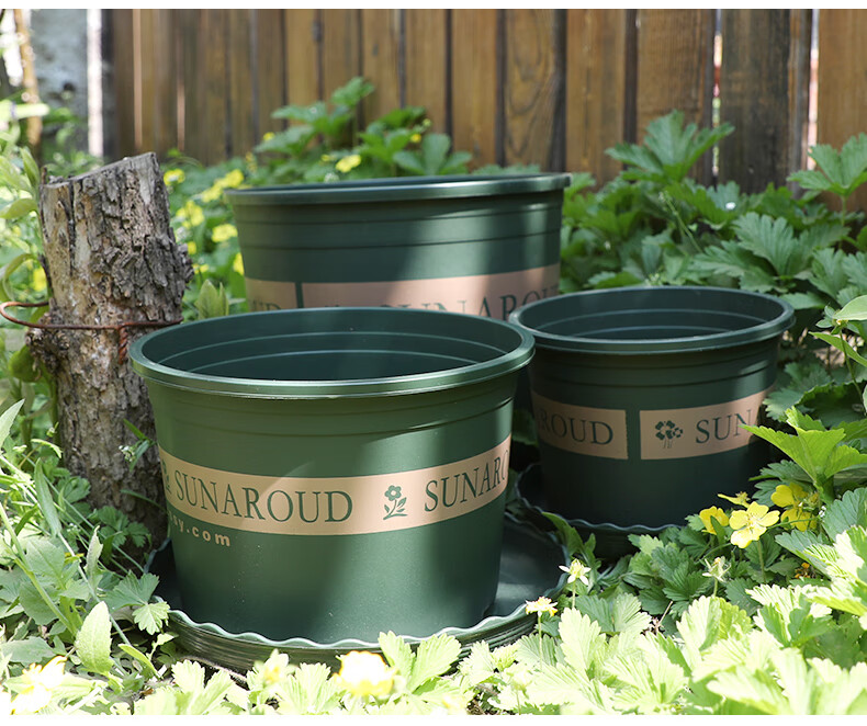 园艺加仑花盆3件装2加仑家用阳台种植植物绿植简约塑料花盆种植盆矮款