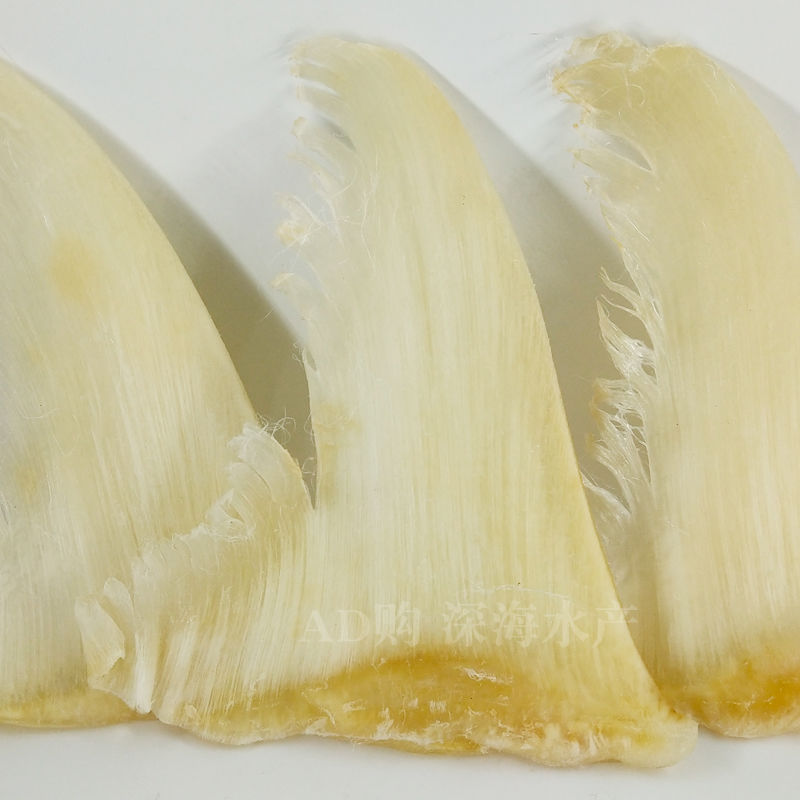 金勾翅 新鲜干货 金钩翅 无骨 多规格 鱼鳍针翅丝 佛跳墙材料 煲汤