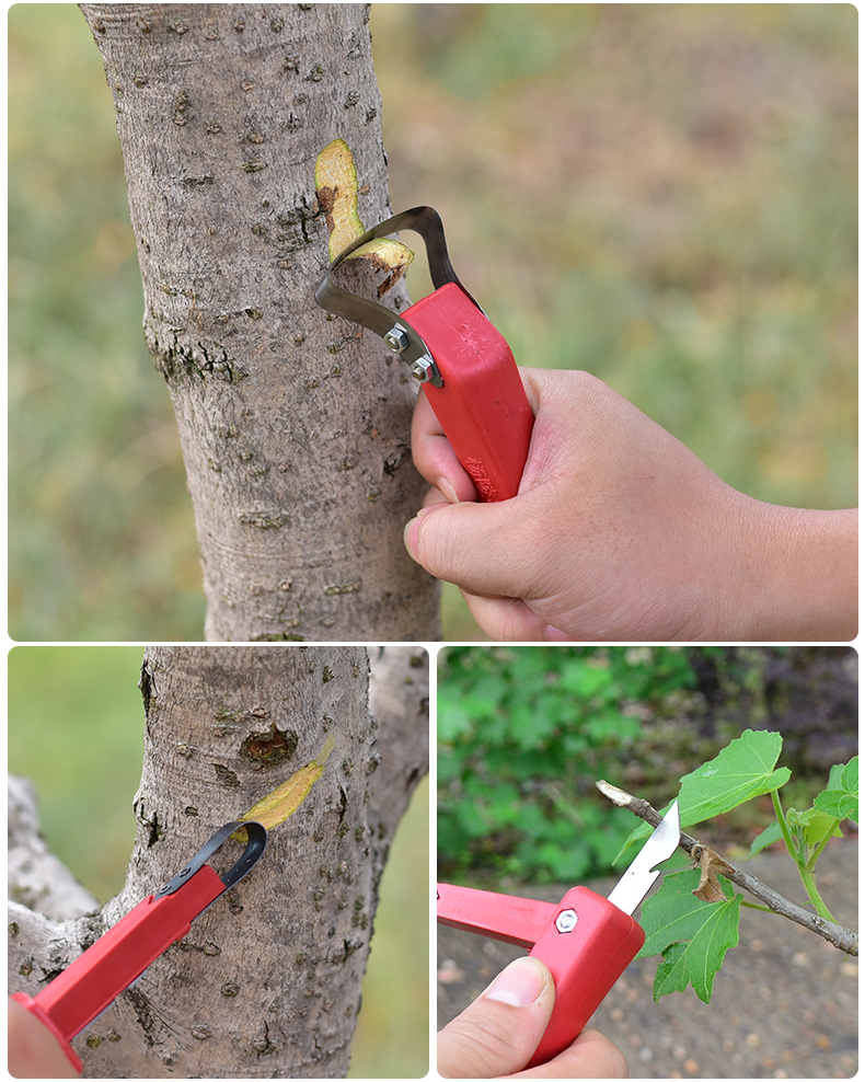 双刀头嫁接果树树皮刮皮刀小巧多功能枝条环割刀树木环剥刀环枝条剪刀