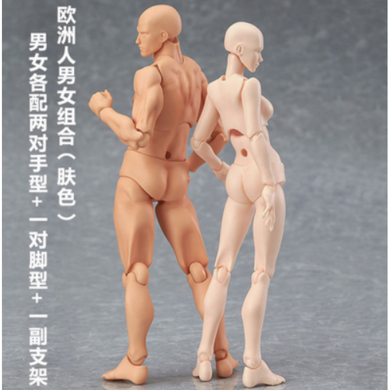 人体玩具日本人偶关节可动成人绘画肌肉shf可动素体漫画比例参考男女