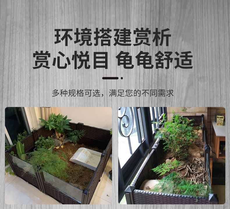黄缘龟箱黄缘龟饲养缸环境造景安缘台缘养殖箱生态植物垫材龟箱饲养箱