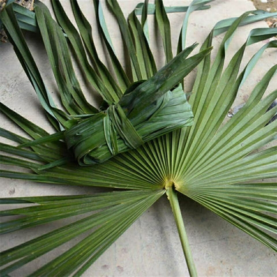 棕树叶草绳农家包粽子专用绳子天然草绳天然无公害无污