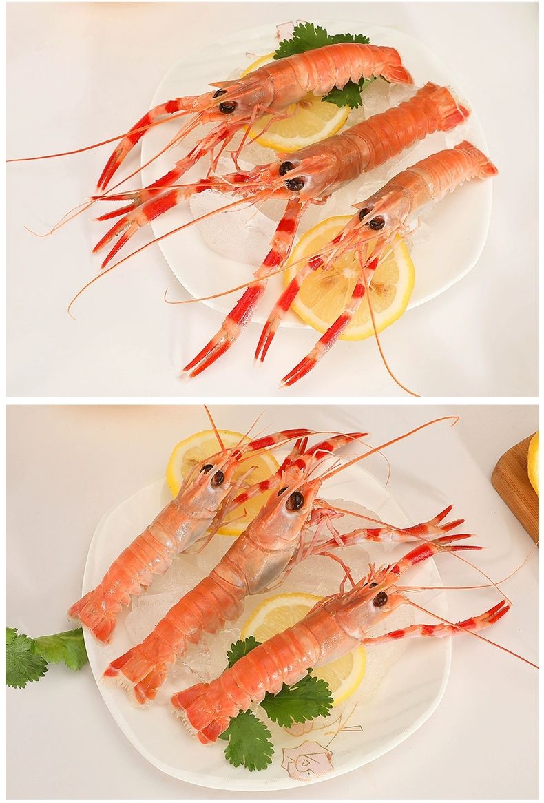 新鲜海龙虾海螯虾鲜活超大虾皇深海生吃虾刺身海虾铁甲虾活物 3斤装