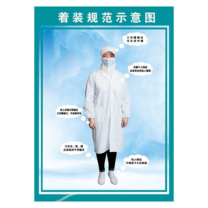 工装着装要求静电衣静电帽的穿戴标准宣传画挂图墙贴画ndh ndh08 防尘