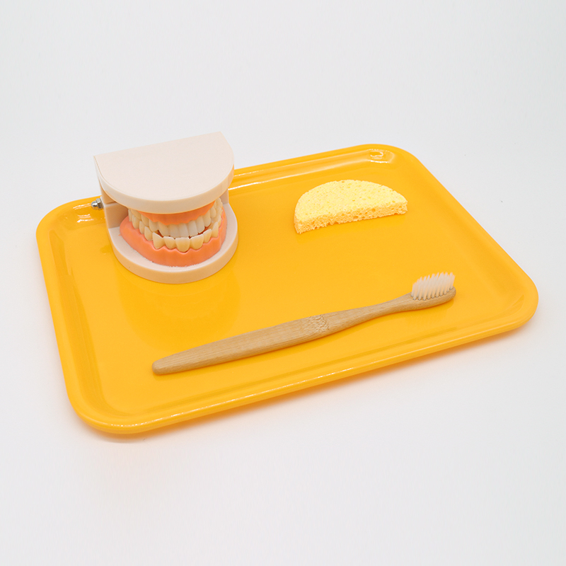 【京选优品】蒙氏教具2岁儿童刷牙洗漱套装认识牙齿模型婴幼儿早教