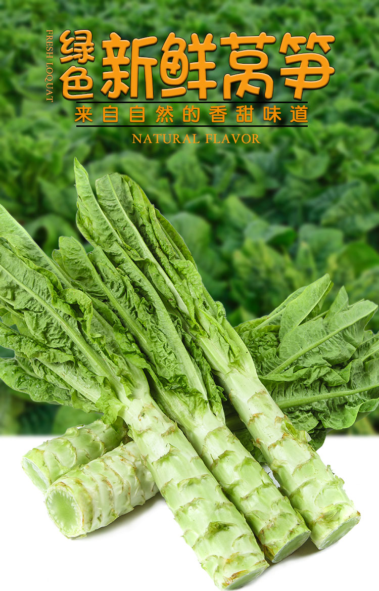 新鲜莴笋 农家自种青笋 现摘莴苣笋 时令蔬菜批发 10斤
