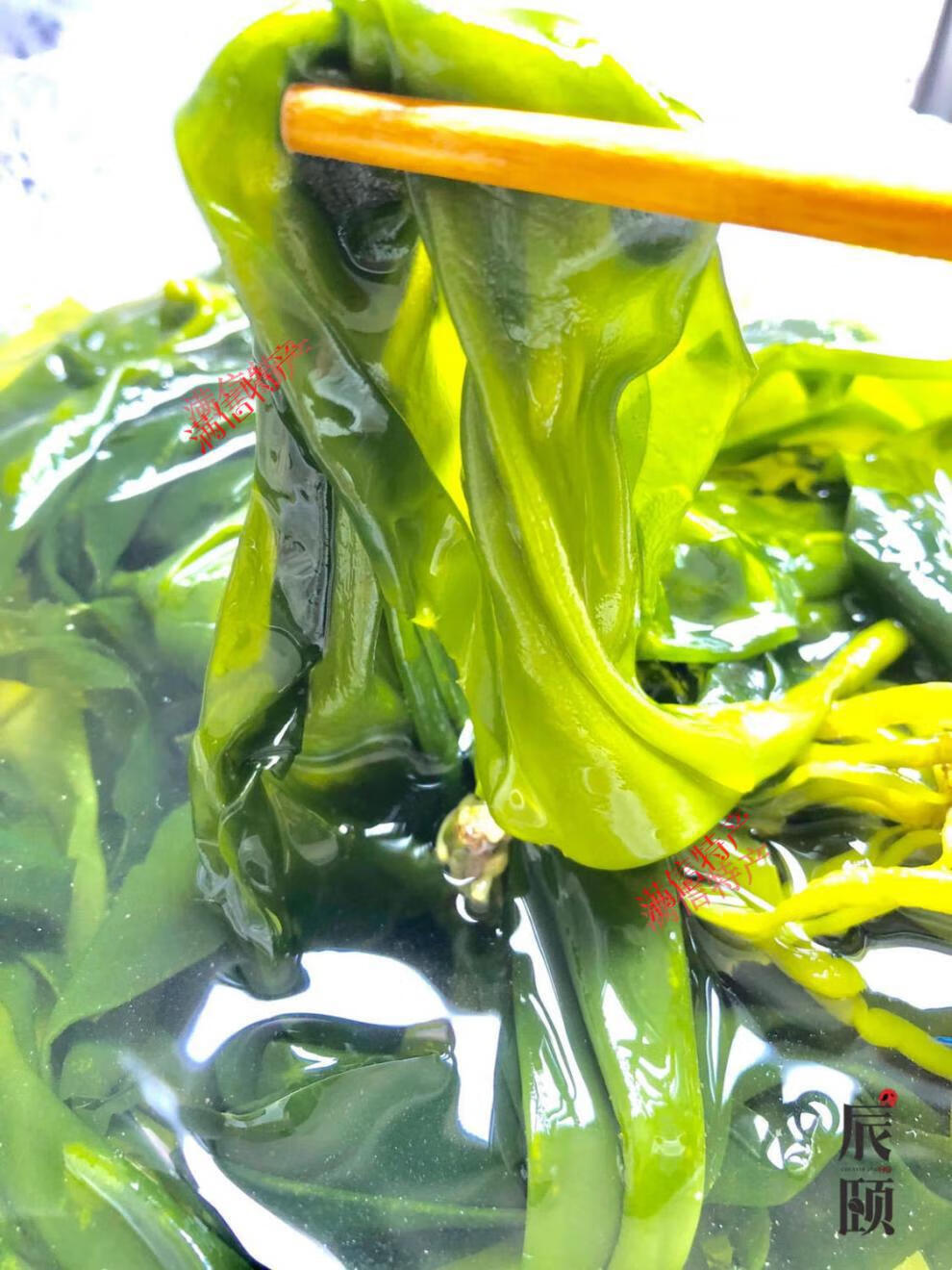 辰颐物语海带嫩苗新鲜脆嫩盐渍小海带苗嫩芽火锅凉拌炖汤霞浦特产3斤