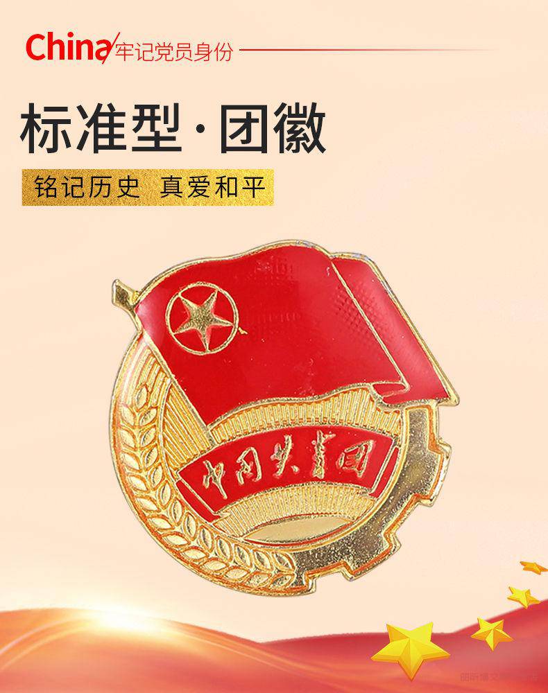 中国共青团团徽团员徽章中央监制标准型学生胸针别针磁铁新版 大号2