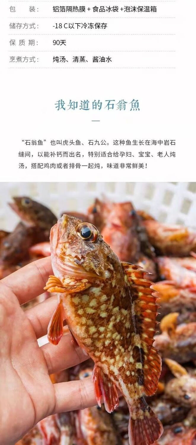 石斑鱼鲜海鲜 买2斤赠1斤【码头直发】 略小号11-15条/斤【图片 价格