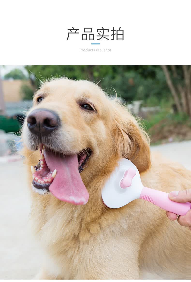 狗毛梳子宠物梳毛刷器脱毛针梳泰迪金毛大型犬专用撸猫咪狗狗用品