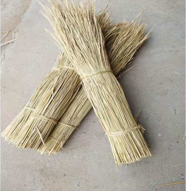 水稻草杆子禾杆草芯动物铺窝取暖草垛道具装饰天然 1000根精选稻草