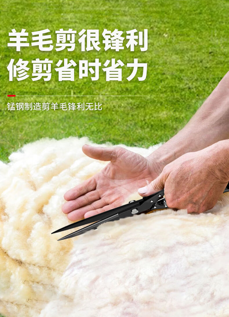 银龙岛剪剪神器手动剪的大剪刀绵羊专用剪刀兔毛剪刀 级羊毛剪(小号)