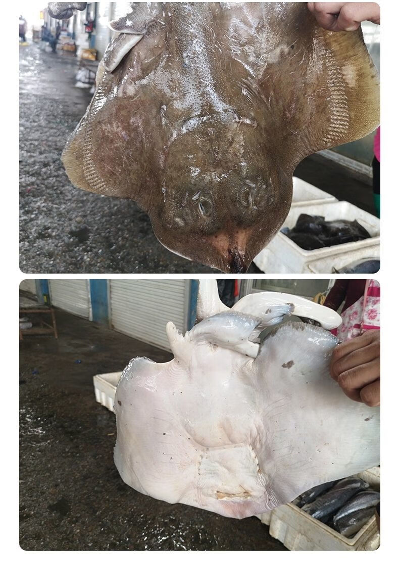 整条老板鱼【4-5斤】【图片 价格 品牌 报价】-京东