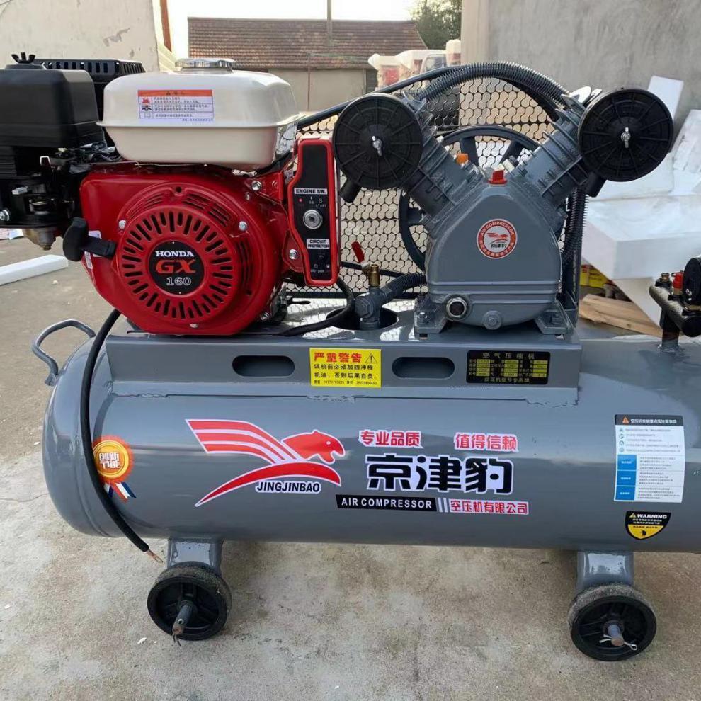 汽油空压机气泵潜水打黄油喷漆修车补胎充气移动供气机车载式气泵 0.