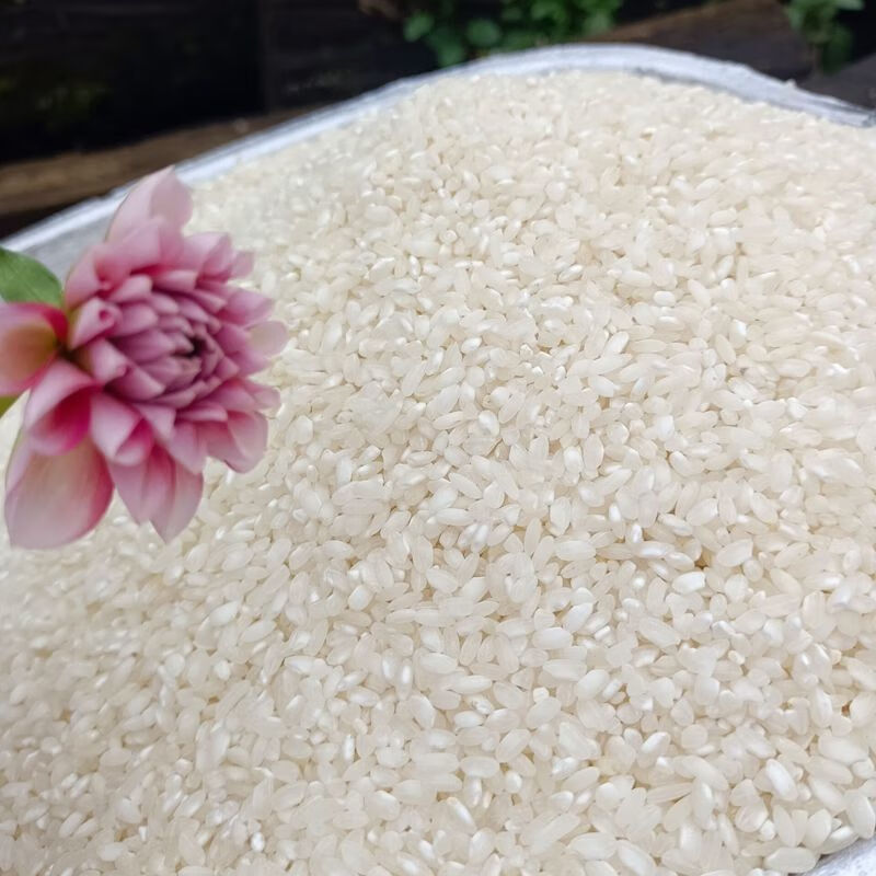 贵州农家桂朝米 多规格 贵潮米桂朝米 米皮米豆腐肠粉凉虾凉糕米粉