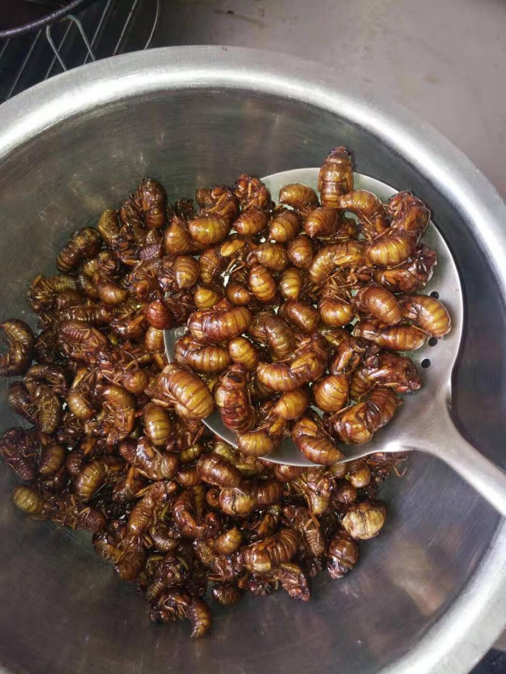 5折 油炸鲜活知了猴 现炸蝉知了猴 即食蝉 鲜活现炸蝉 蝉 麻辣 香味 4