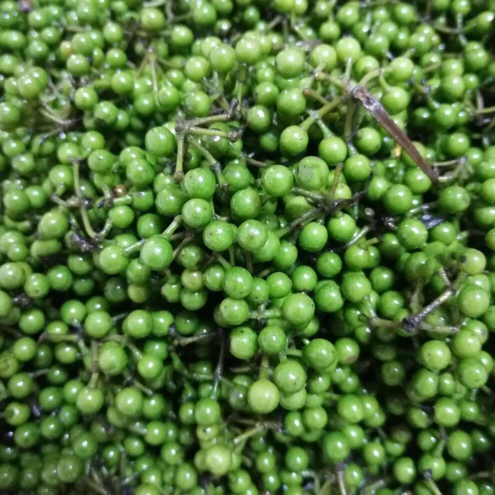 轻恋 山胡椒 现货新鲜山胡椒江西野生木姜子山苍子现摘现发(5月10号