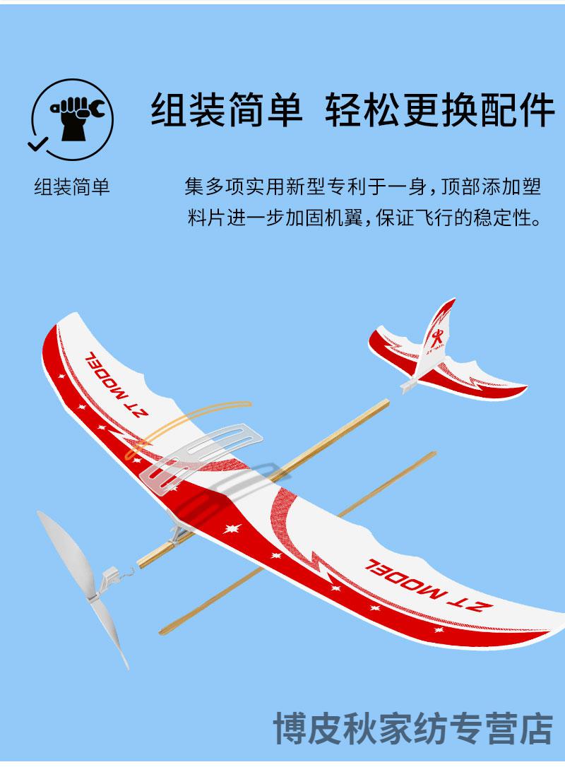 中天模型 雷鸟橡筋动力模型飞机儿童手掷泡沫仿真飞机模型拼装 2个装