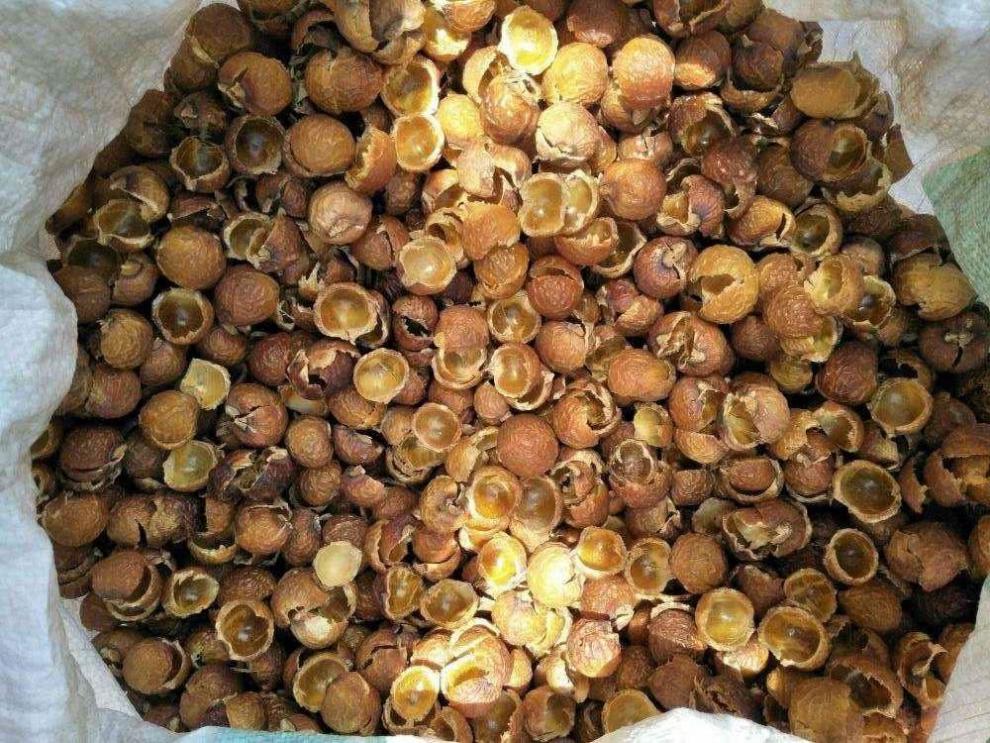 北京同仁堂原料中药材无患子1000克木患子肥皂树洗手果菩提子圆皂角20